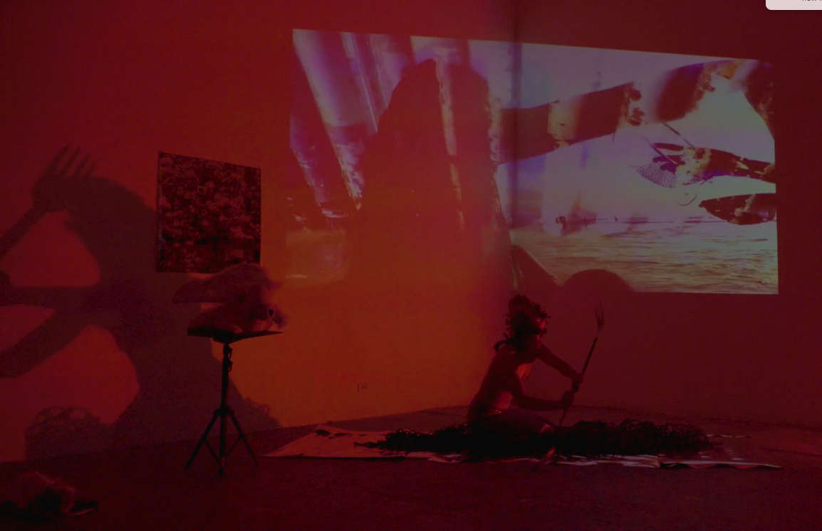 Porco Razo performance